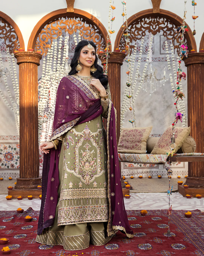 Asim Jofa Luxuxy Chiffon Dress